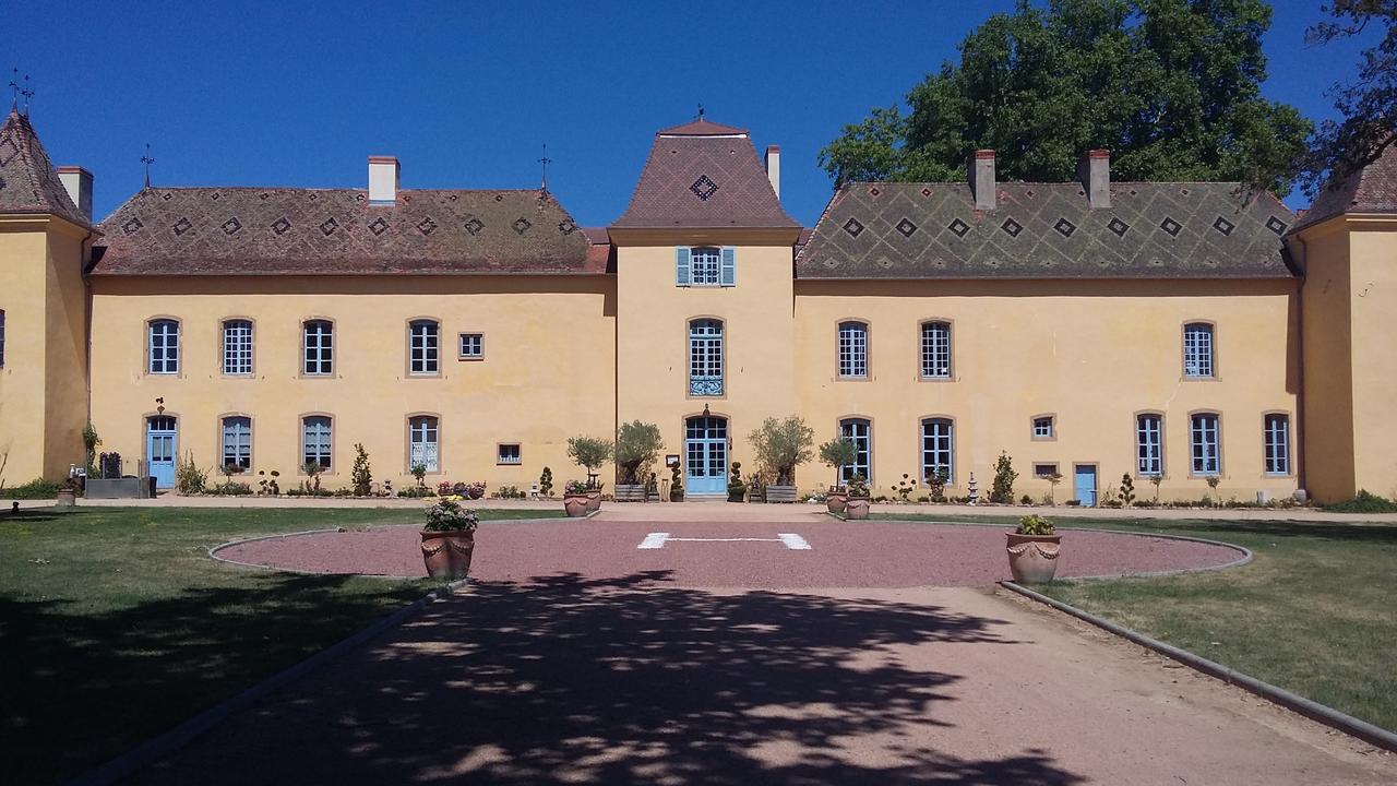 Chateau D'Origny, Chambres D'Hotes Et Restaurant Gastronomique Ouches Dış mekan fotoğraf